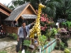 Thailand (2)